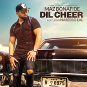 Dil Cheer (feat. Naseebo Lal) artwork