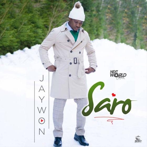 Cover artwork for Saro
