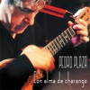 Pedro Plaza - Charanguito Cantor