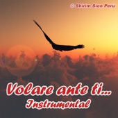 Volare Ante Ti artwork