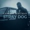 Stray Dog - Cameron Whitman lyrics