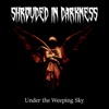 Under the Weeping Sky - Single