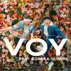 Stream & download VOY (feat. Costa & Quanta) - Single