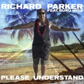 Please Understand (feat. Buku Wise) artwork