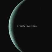 I Really Love You artwork