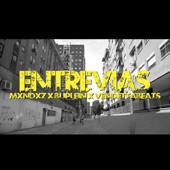 Entrevias (feat. Buplein) artwork