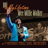 Wee Willie Walker, The Anthony Paule Soul Orchestra - Almost Memphis