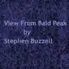 View from Bald Peak - Single album lyrics, reviews, download