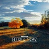 Here & Now - Single