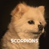 Scorpions - Single