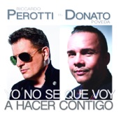 Yo No Se Qué Voy a Hacer Contigo (feat. Donato Poveda) artwork