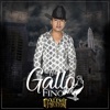 El Gallo Fino