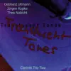 Translucent Tones: Clarinet Trio Two album lyrics, reviews, download