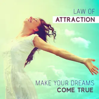 Law of Attraction - Make Your Dreams Come True – Raise Your Vibration Through 50 Amazing Relaxing Music by Brain Stimulation Music Collective album reviews, ratings, credits