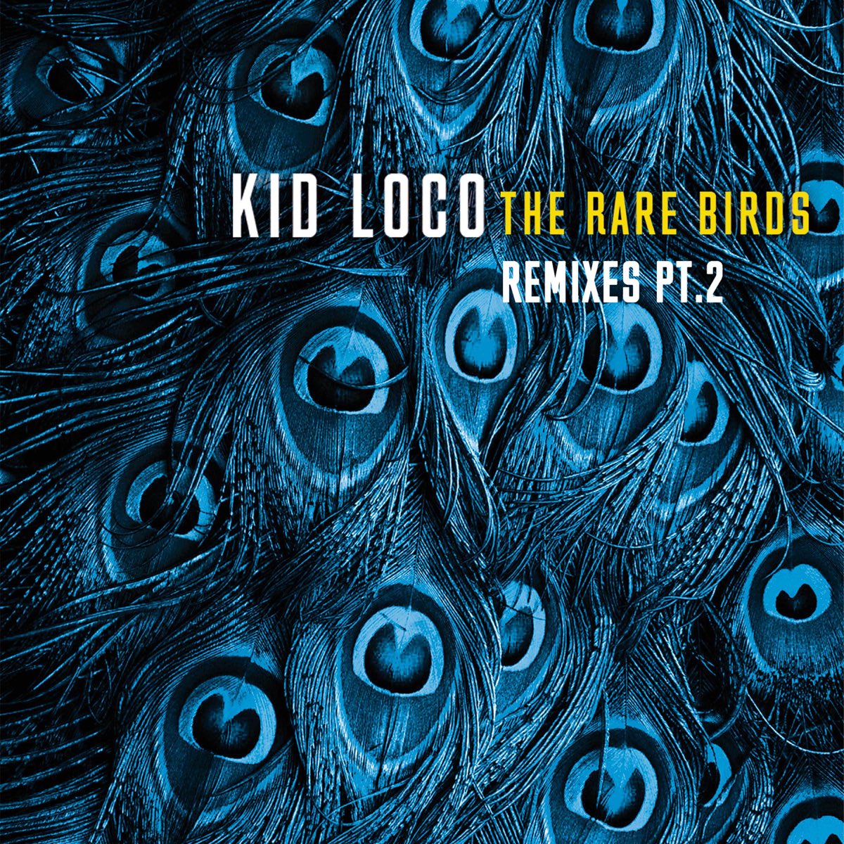 Bird remix. Kid Loco - the rare Birds (2019). Птичка (Remix DJ Kotofey). Kid Loco "a Grand Love story". It Birds песня Loco Loco.