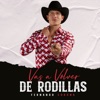 Vas A Volver de Rodillas (Te Guste o No) - Single