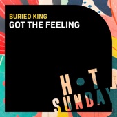 Got the Feeling artwork