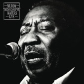 Muddy Waters - Pinetop's Boogie Woogie (Live)