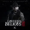 Corridos Bélicos, Vol. 2 album lyrics, reviews, download