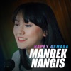 Mandek Nangis - Single