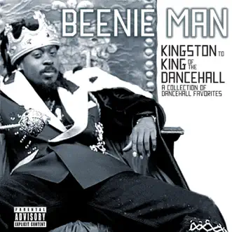 Girls Dem Sugar (feat. Mya) by Beenie Man song reviws