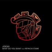 WHAT DO YOU WANT (feat. PATRICIA STARR) artwork