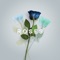 Roses - Matthew Parker & Sajan Nauriyal lyrics