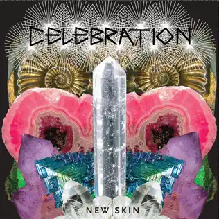 ladda ner album Celebration - New Skin
