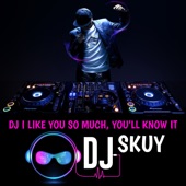 DJ I Like You So Much, You'll Know It artwork