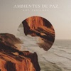 Ambientes de Paz