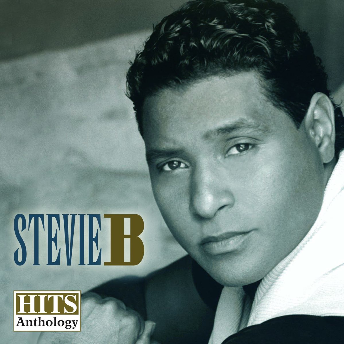 ‎Hits Anthology, Vol. 1 By Stevie B On Apple Music