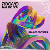 Rollercoaster (feat. Big Boy) artwork