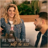 ככה בלי שלום (אקוסטי) artwork