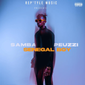 Ndaga - Samba Peuzzi