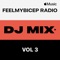 FeelMyBicep Radio, Vol. 3 (DJ Mix)
