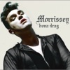 Morrissey - The Last of the Famous International Playboys (Remastered)