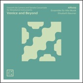 Venice and Beyond: Concerti da Camera & Sonate Concertate for Woodwind Instruments artwork