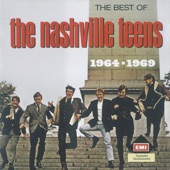 The Best of The Nashville Teens 1964-1969
