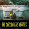 Me crecen las flores (feat. Bely Basarte) - Marta Soto lyrics