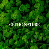 Celtic Nature: Soothing Celtic Music for Spa, Wellness, Massage, Yoga, Meditation, Nature Sounds artwork