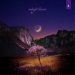 damaa.beats & Tonion - Midnight Blossom