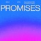 Promises - Diplo, Paul Woolford & Kareen Lomax lyrics