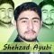 Shahzad Ayyubi New Song - Shehzad Ayubi lyrics