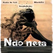 Ndo Neta! (feat. Yoleen) artwork