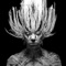 Lion for Real - Kate Boy lyrics