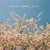 Blossom - Single album lyrics, reviews, download