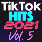 TikTok Hits 2021, Vol. 5 artwork