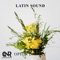 Latin Sound - Opiun Drinky lyrics
