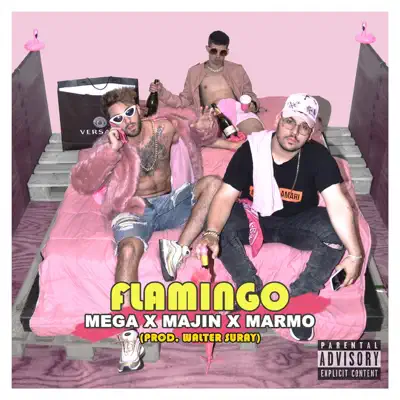 Flamingo (feat. Majin & Marmo) - Single - Mega (Tu Dulcero)