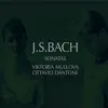 Bach: Sonatas for Violin and Harpsichord album lyrics, reviews, download